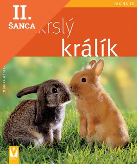 Lacná kniha Zakrslý králík - Jak na to