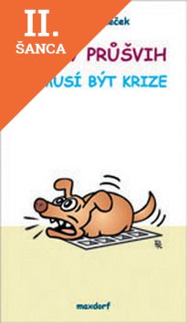 Lacná kniha Každý průšvih nemusí být krize