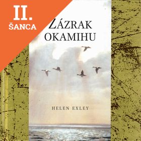 Lacná kniha Zázrak okamihu