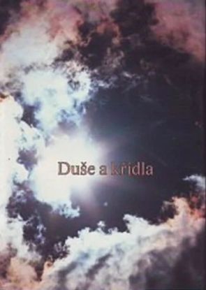Duše a křídla