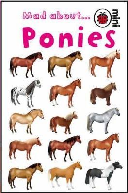 Mad About Ponies (Ladybird Minis)