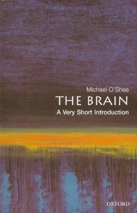 The Brain: A Very Short Introduction (Very Short Introductions)