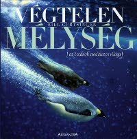 Végtelen mélység