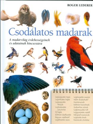 Csodálatos madarak