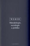 Metodologie, sociologie a politika