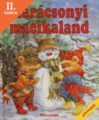 Lacná kniha Karácsonyi macikaland