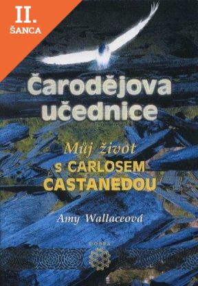 Lacná kniha Čarodějova učednice