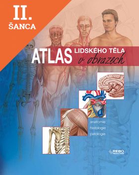 Lacná kniha Atlas lidského těla v obrazech
