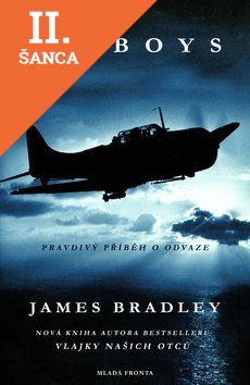 Lacná kniha Flyboys