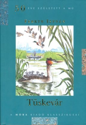 Tüskevár