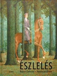 Észlelés