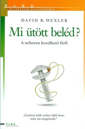 Mi ütött beléd?