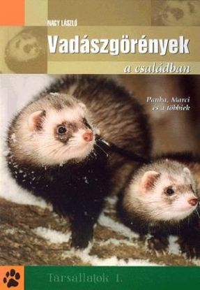 Vadászgörények a családban - Panka, Marci és a többiek