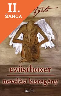 Lacná kniha Ezüstboxer - Nevelési kisregény
