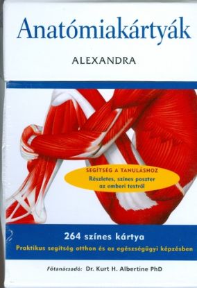 Anatómiakártyák - 264 színes kártya