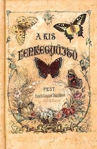 A kis lepkegyűjtő
