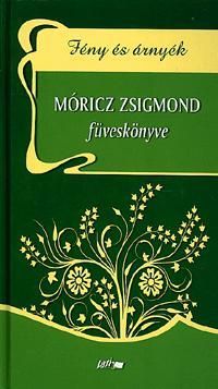 Fény és árnyék