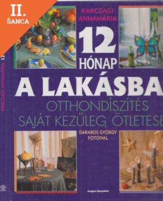 Lacná kniha 12 hónap a lakásban