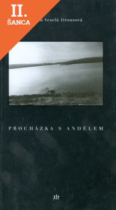 Lacná kniha Procházka s andělem
