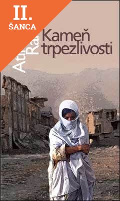 Lacná kniha Kameň trpezlivosti