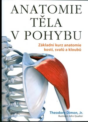 Anatomie těla v pohybu