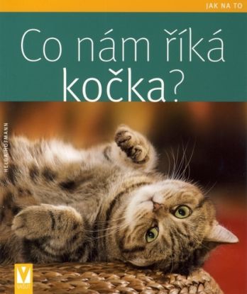 Co nám říká kočka? - Jak na to