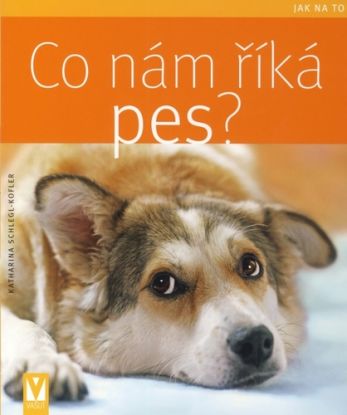 Co nám říká pes? - Jak na to