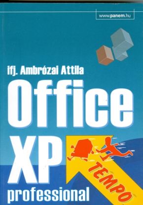 Office XP professional