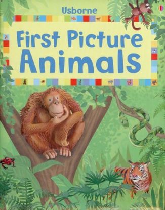 First Picture: Animals