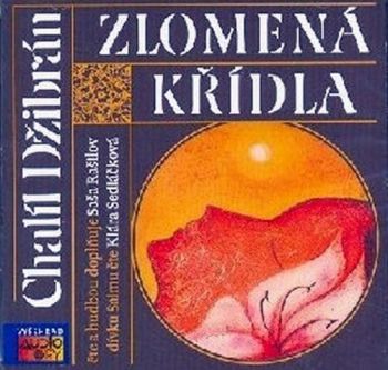 Velká kniha sádrokartonu