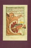 The Jena Codex