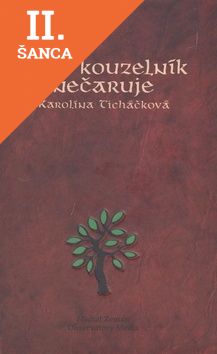 Lacná kniha Proč kouzelník nečaruje