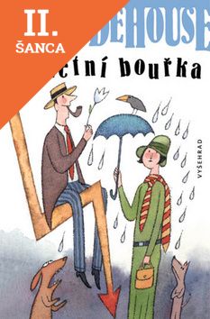 Lacná kniha Letní bouřka