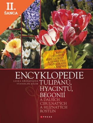 Lacná kniha Encyklopedie tulipánů, hyacintů, begonií