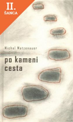Lacná kniha Po kameni cesta