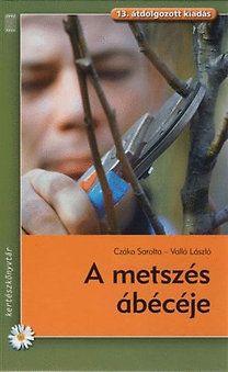 A metszés ábécéje