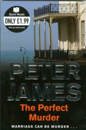The Perfect Murder