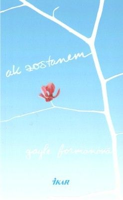 Ak zostanem