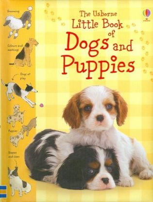 Little Book of Dogs and Puppies