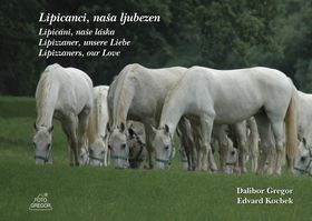 Lipicáni, naše láska
