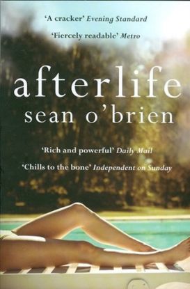 Afterlife