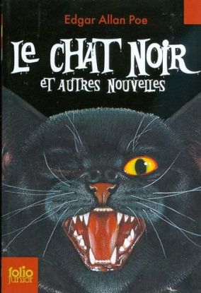 Le chat noir et autres nouvelles