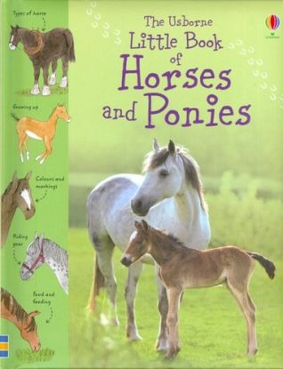 Little Book of Horses and Ponies