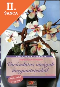 Lacná kniha Varázslatos virágok üvegmatricából