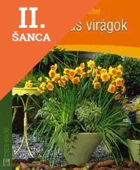 Lacná kniha Hagymás virágok