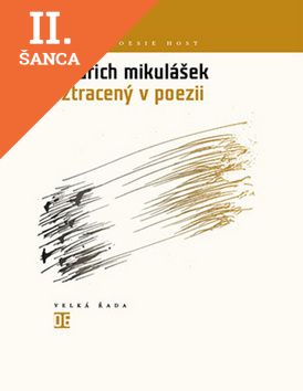 Lacná kniha Ztracený v poezii