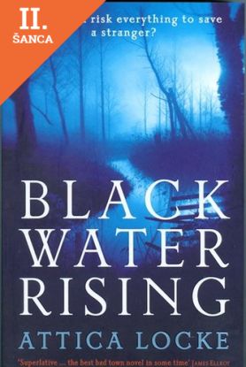 Lacná kniha Black Water Rising