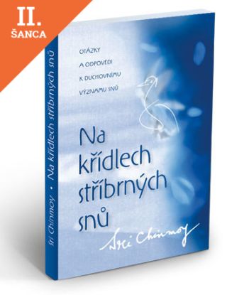 Lacná kniha Na křídlech stříbrných snů