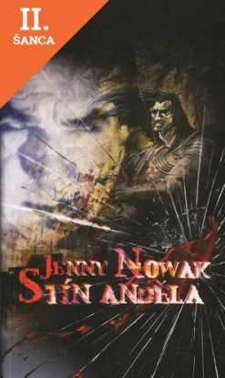 Lacná kniha Stín Anděla
