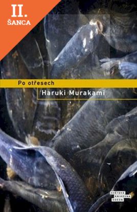 Lacná kniha Po otřesech